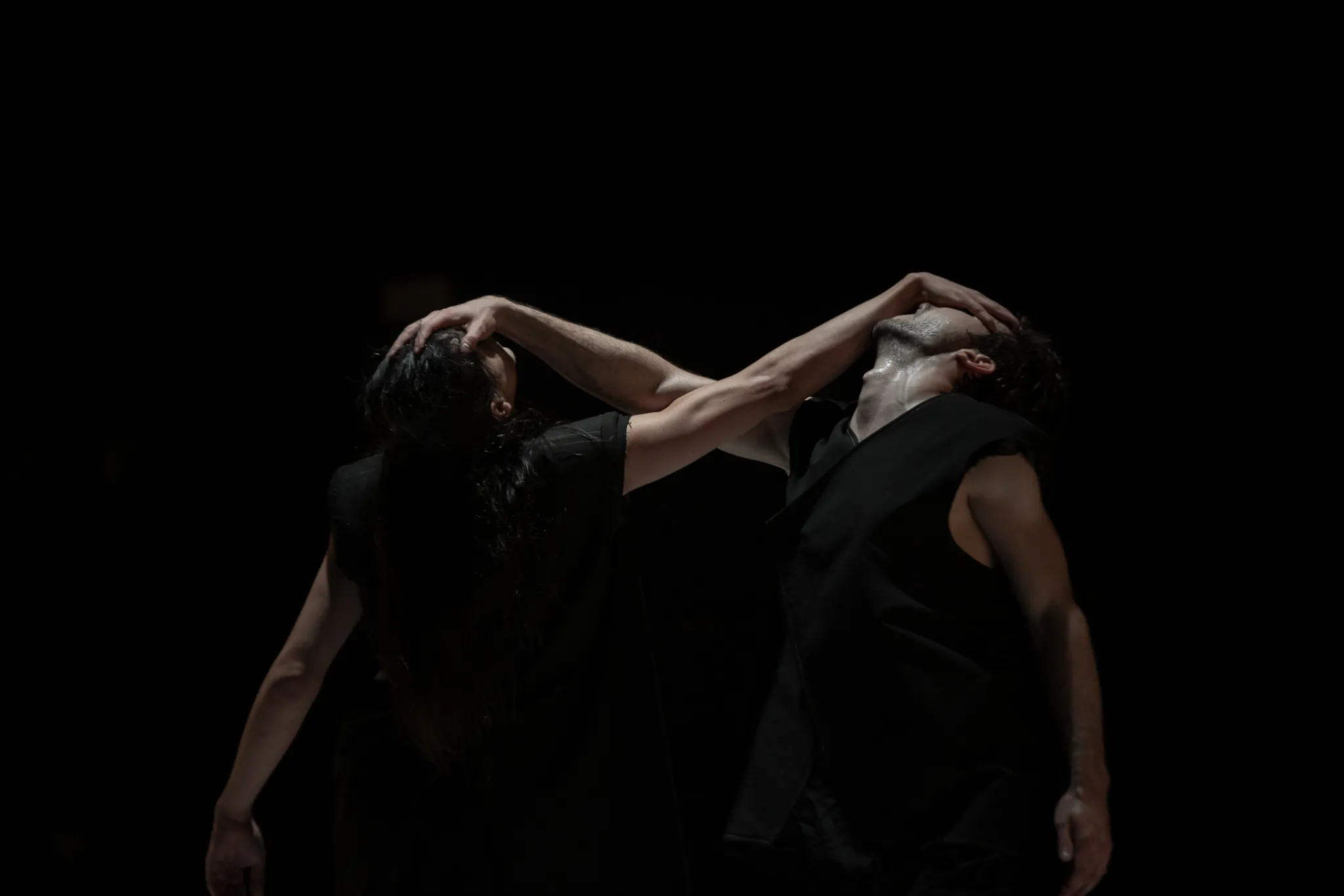 Ogmia / Eduardo Vallejo