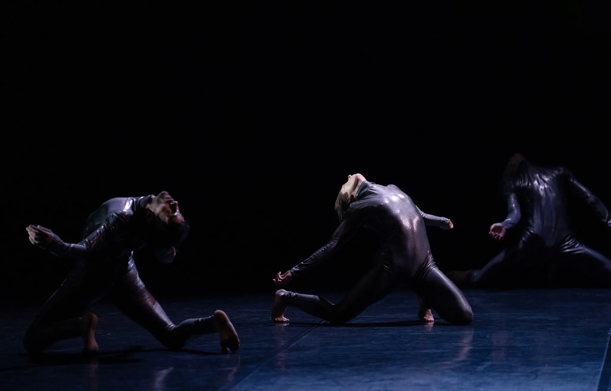 GLASS HOUSE - OGMIA_EDUARDO VALLEJO - COPY ALBA MURIEL 05